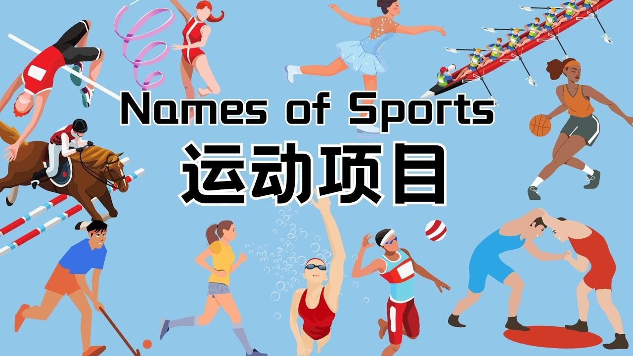 教练组考察多位置轮换